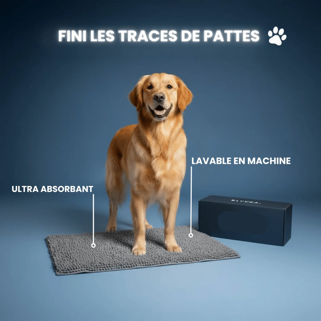 PawDry™ — Tapis Ultra-Absorbant pour Chiens