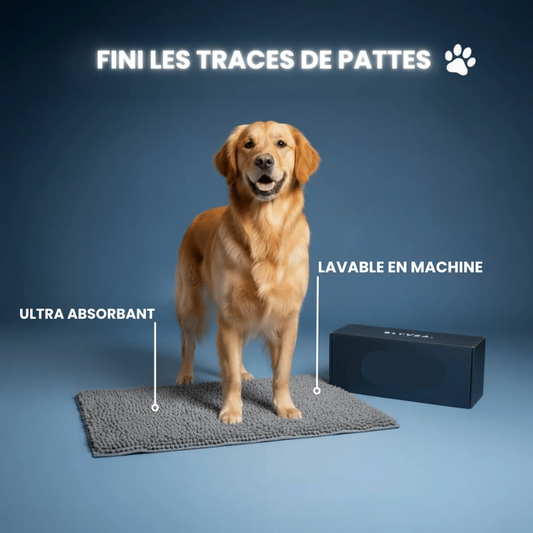 PawDry™ — Tapis Ultra-Absorbant pour Chiens